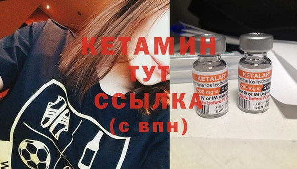 сатива Карпинск